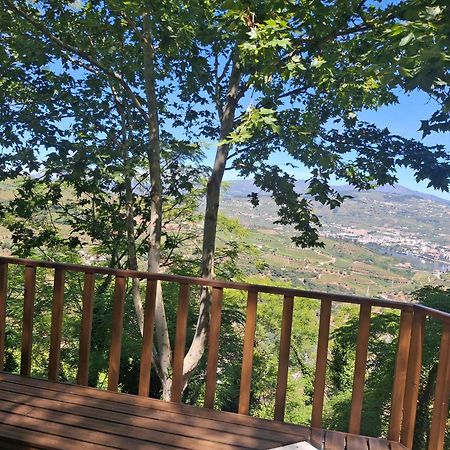 Quinta Do Valdalagea Guest House Peso da Regua Luaran gambar