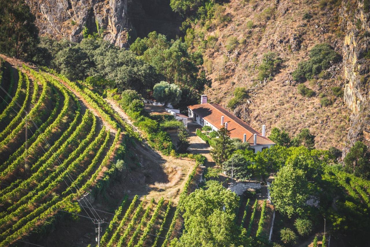 Quinta Do Valdalagea Guest House Peso da Regua Luaran gambar