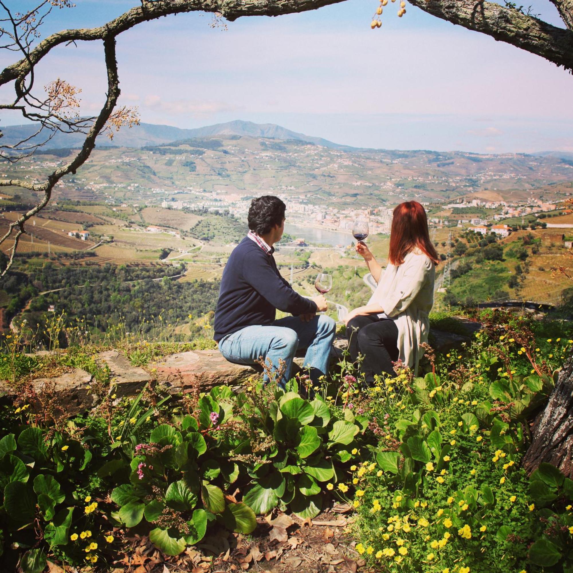 Quinta Do Valdalagea Guest House Peso da Regua Luaran gambar