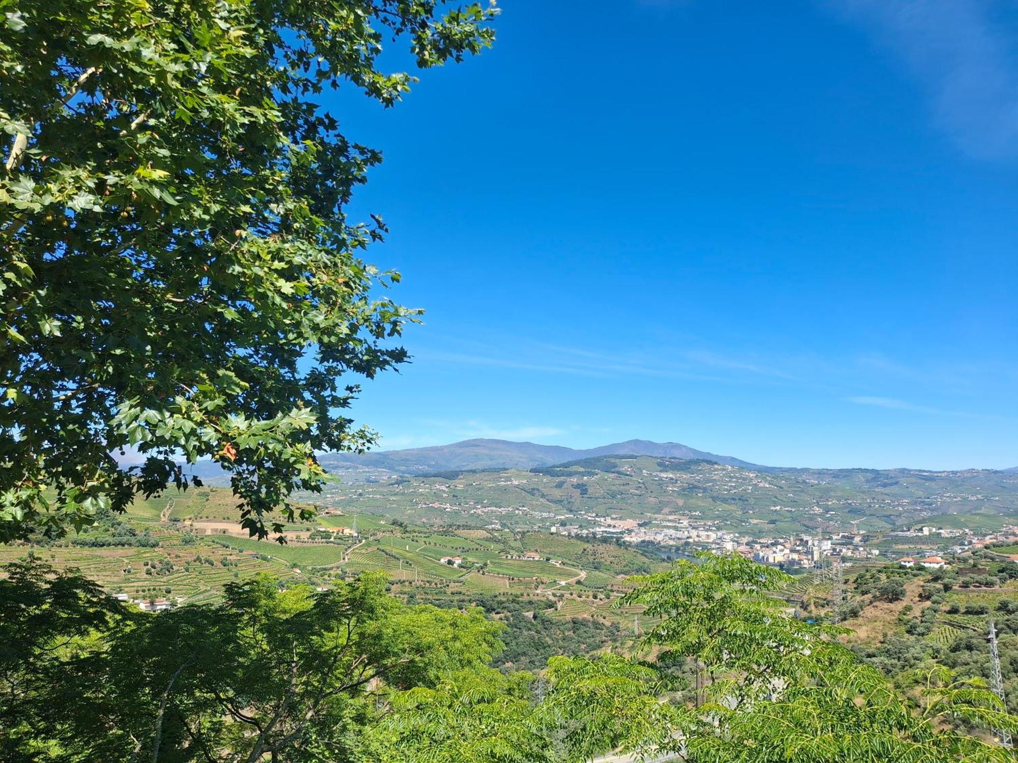 Quinta Do Valdalagea Guest House Peso da Regua Luaran gambar