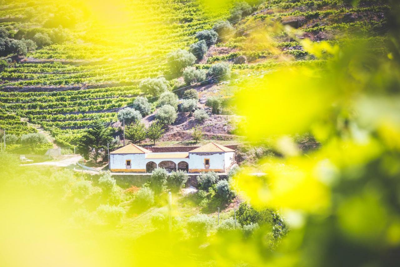 Quinta Do Valdalagea Guest House Peso da Regua Luaran gambar