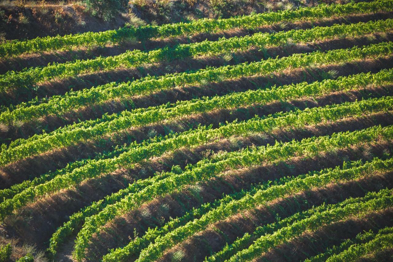 Quinta Do Valdalagea Guest House Peso da Regua Luaran gambar