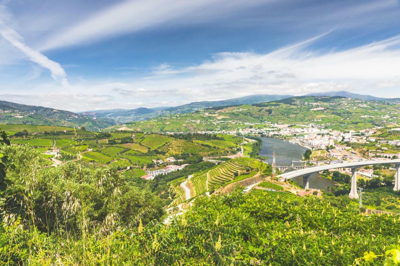 Quinta Do Valdalagea Guest House Peso da Regua Luaran gambar